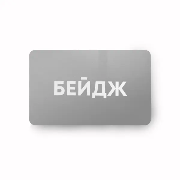 SILVER_MIRROR Бейдж на зеркальном золоте/серебре 8,5х5,5 см