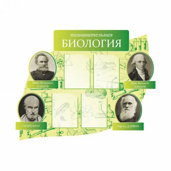 15 Информационный стенд-композиция с карманами А4 (4 шт) «Познавательная биология» ПВХ5 120х95 см