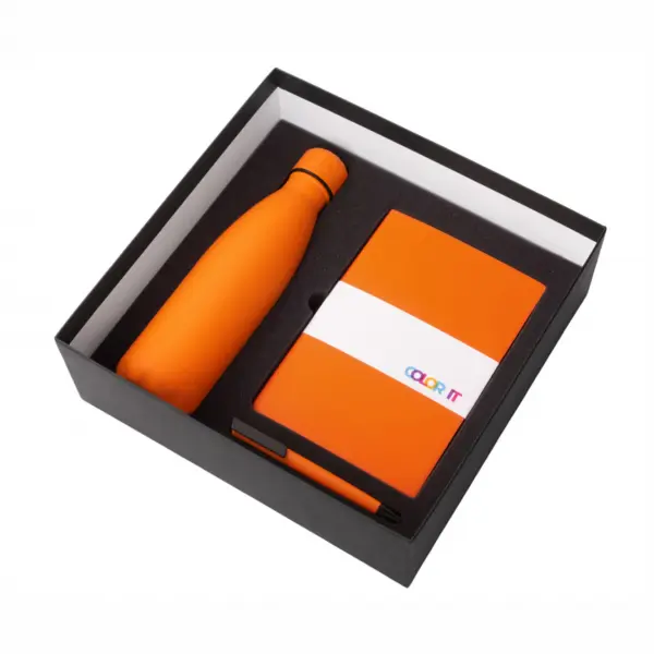 2 Подарочный набор «COLOR IT» c блокнотом, ручкой и термобутылкой